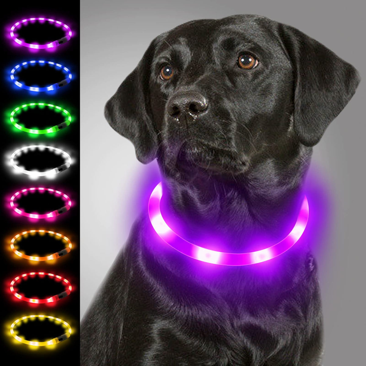Rechargeable LED Light-Up Dog Collar – Cut-to-Fit, Purple